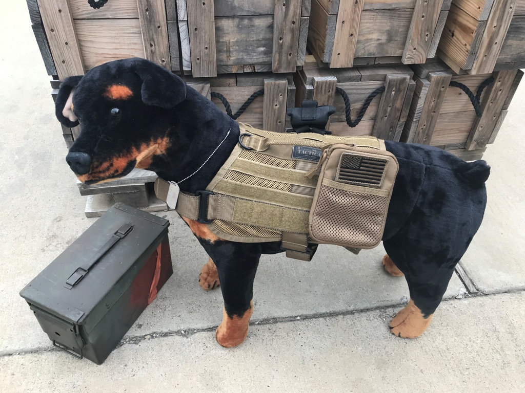 dog army vest